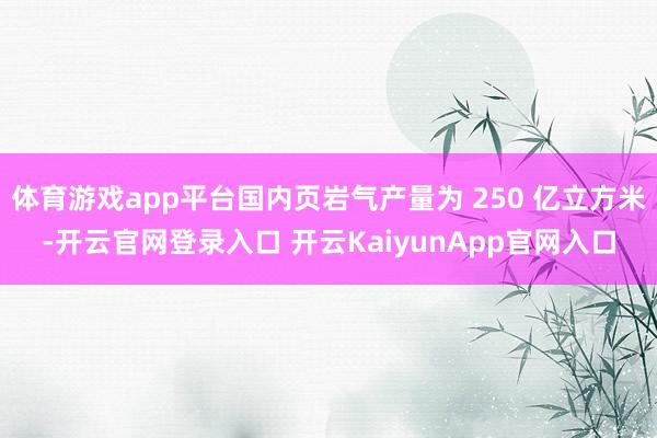 体育游戏app平台国内页岩气产量为 250 亿立方米-开云官网登录入口 开云KaiyunApp官网入口